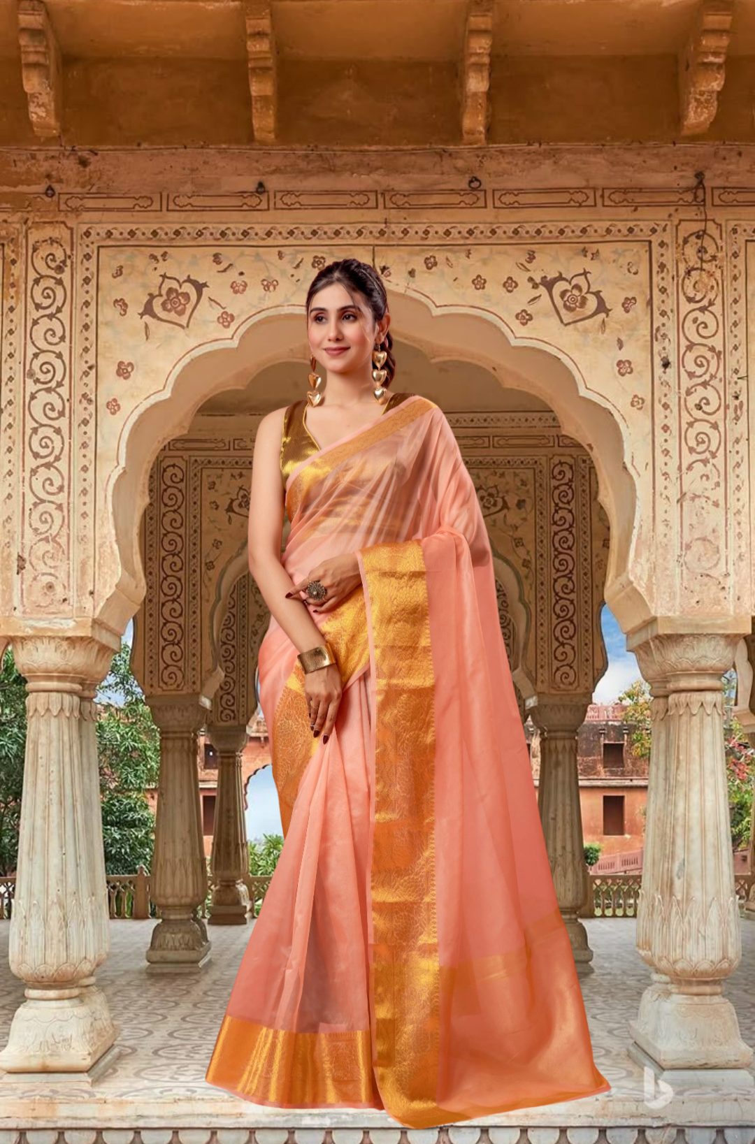 M O H I N I || Organza Tissue Saree