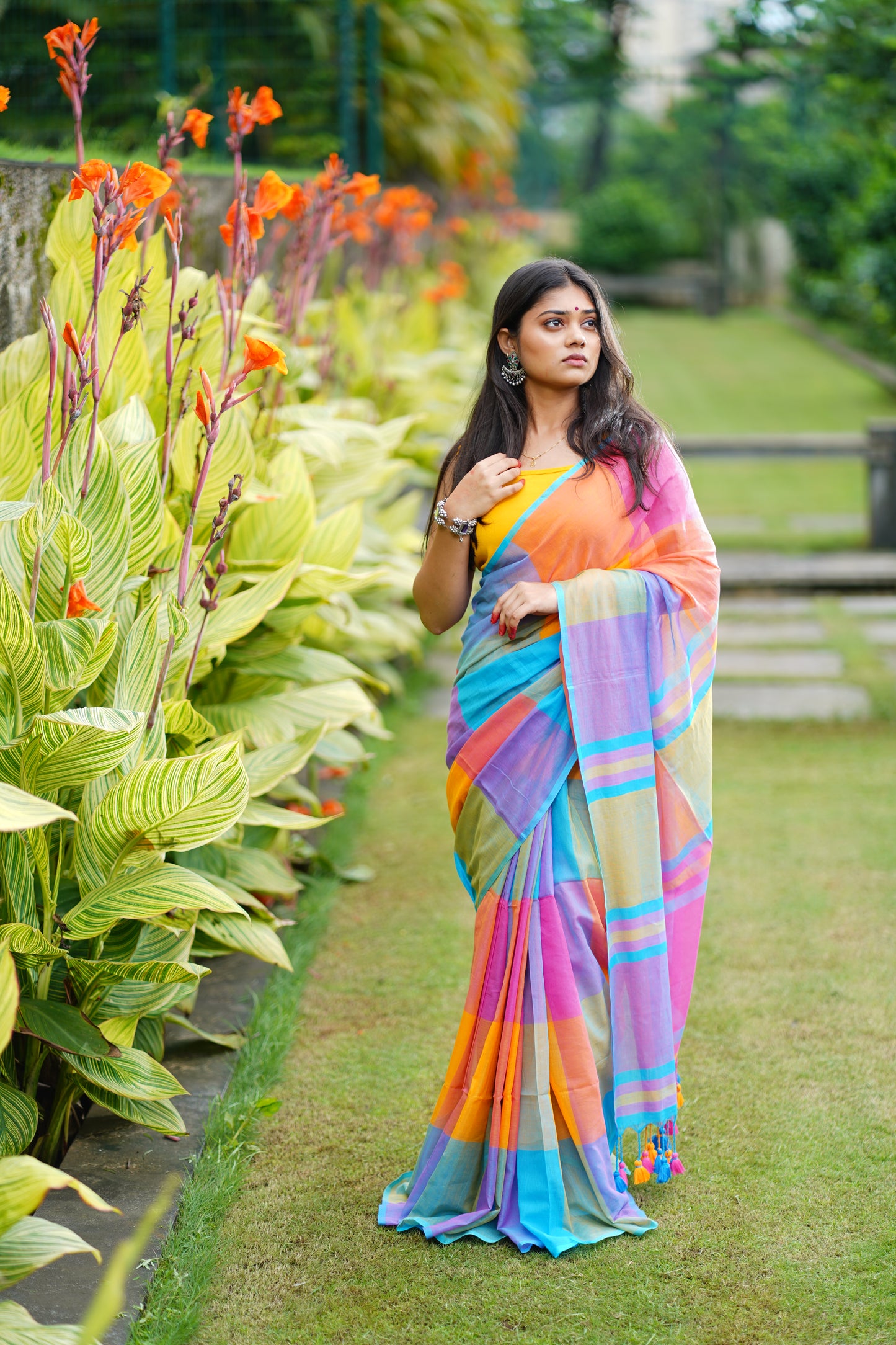 C H A M E L I || Mull Cotton Saree