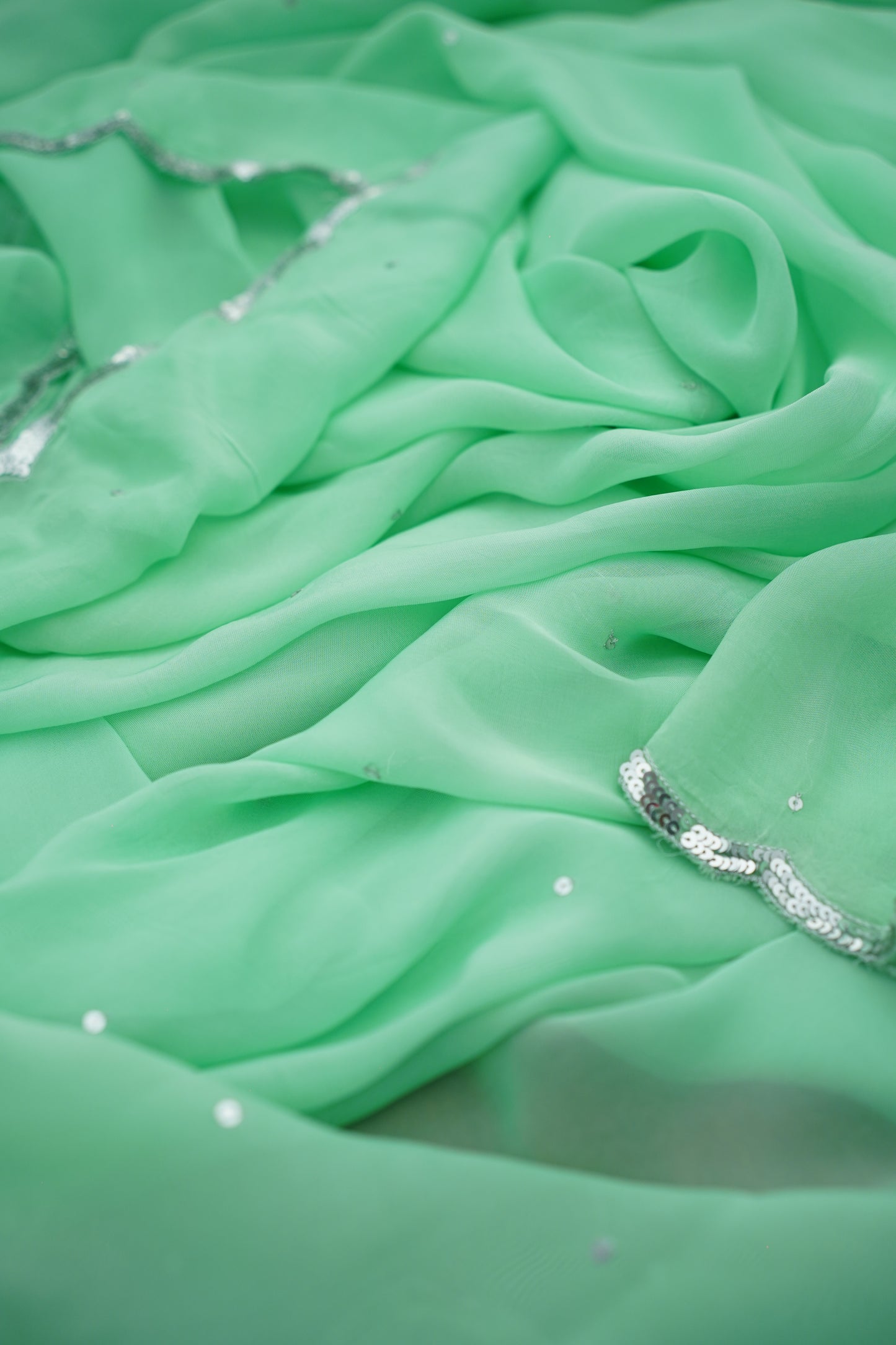 P A R M E S H W A R I || Organza Sequence Saree