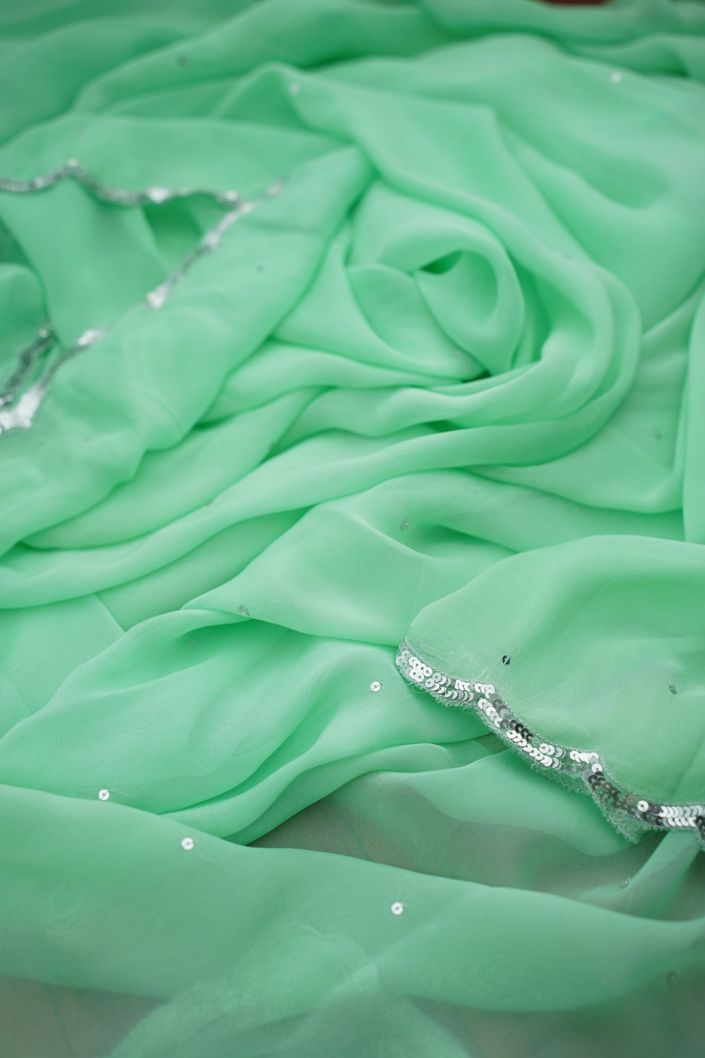 P A R M E S H W A R I || Organza Sequence Saree