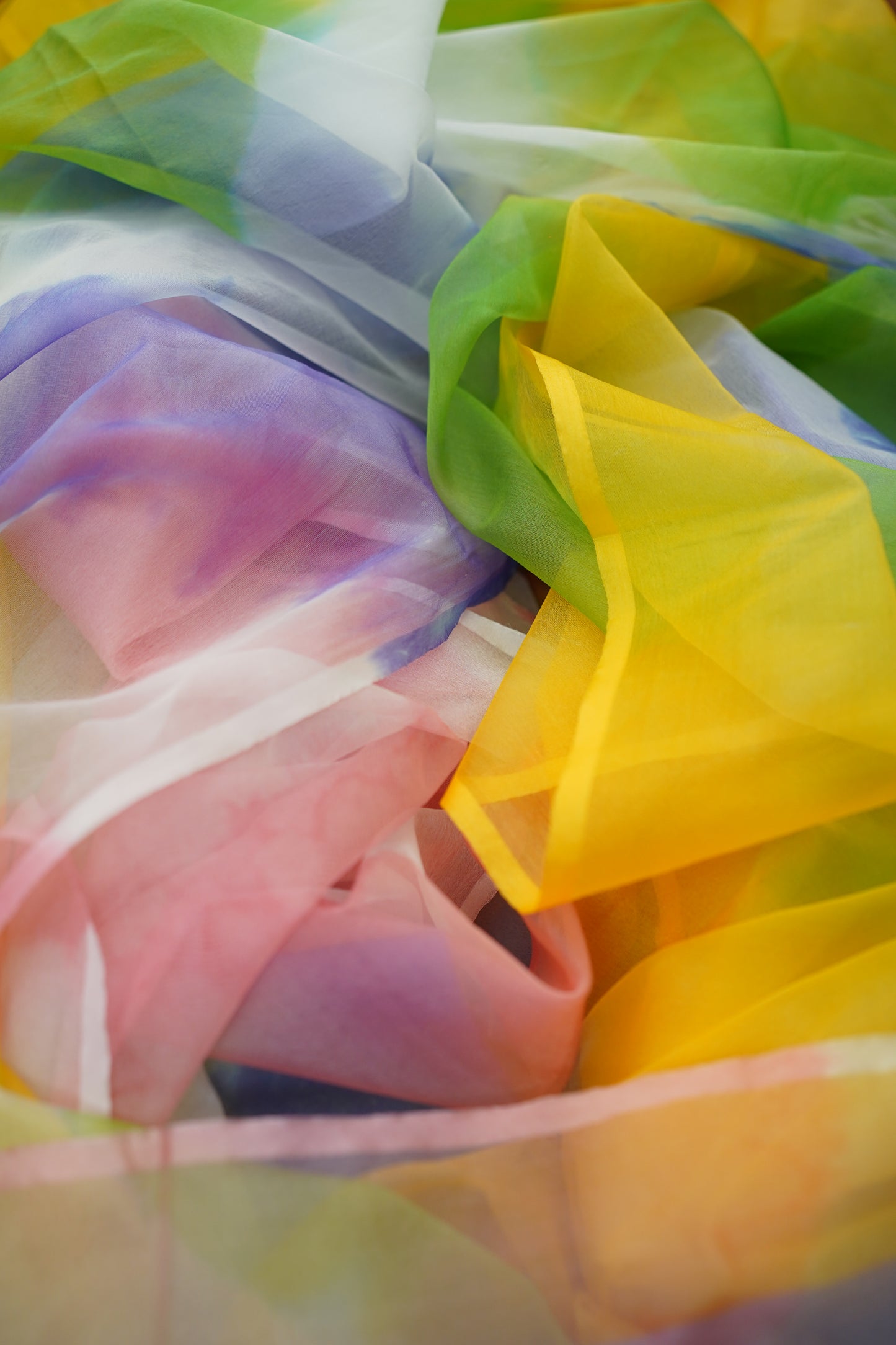 P A R A M P A R A || Multicolour Organza Saree