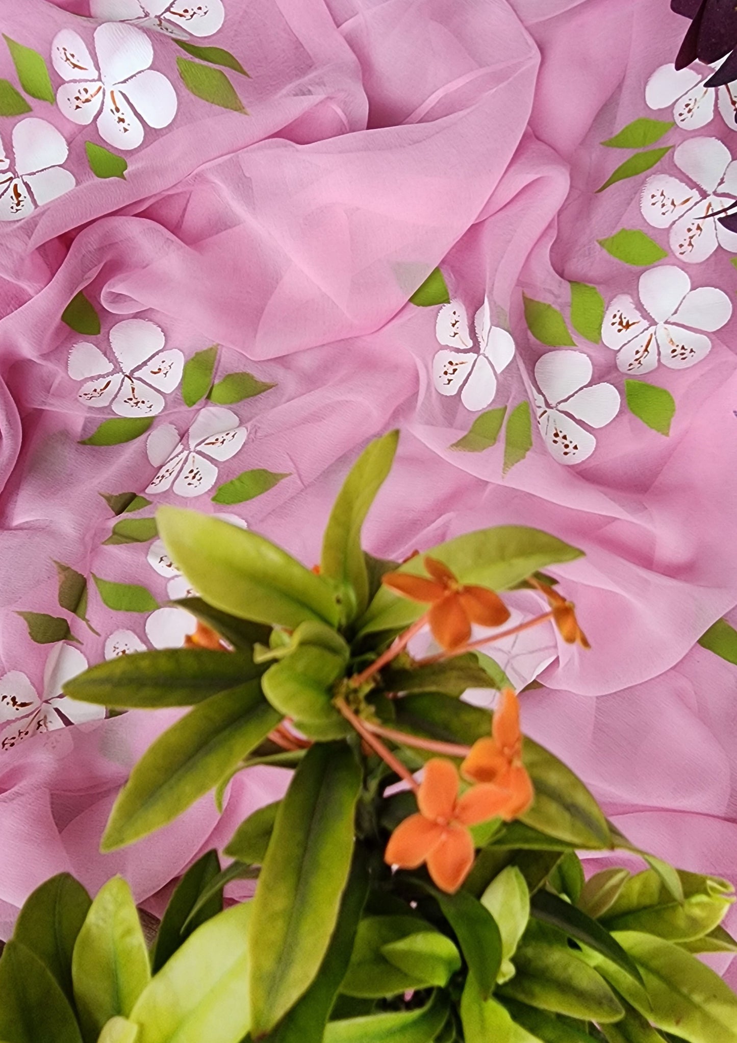 K A C H N A R (PINK)|| Pure Chiffon Hand Painted Saree