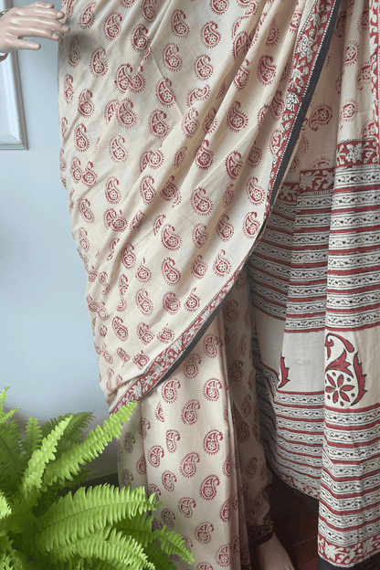 P A N K H || Handloom Cotton Saree