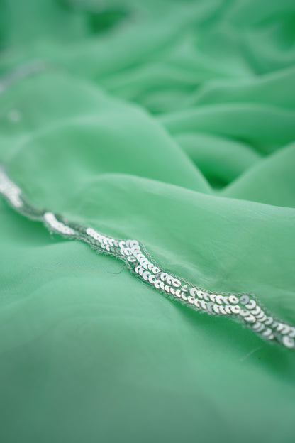 P A R M E S H W A R I || Organza Sequence Saree