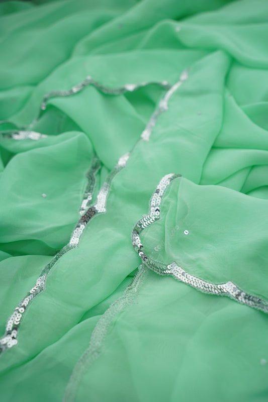 P A R M E S H W A R I || Organza Sequence Saree