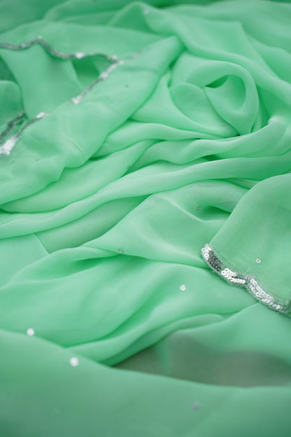 P A R M E S H W A R I || Organza Sequence Saree