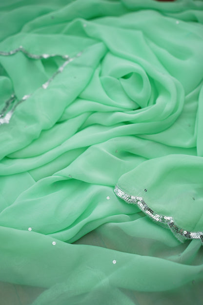 P A R M E S H W A R I || Organza Sequence Saree