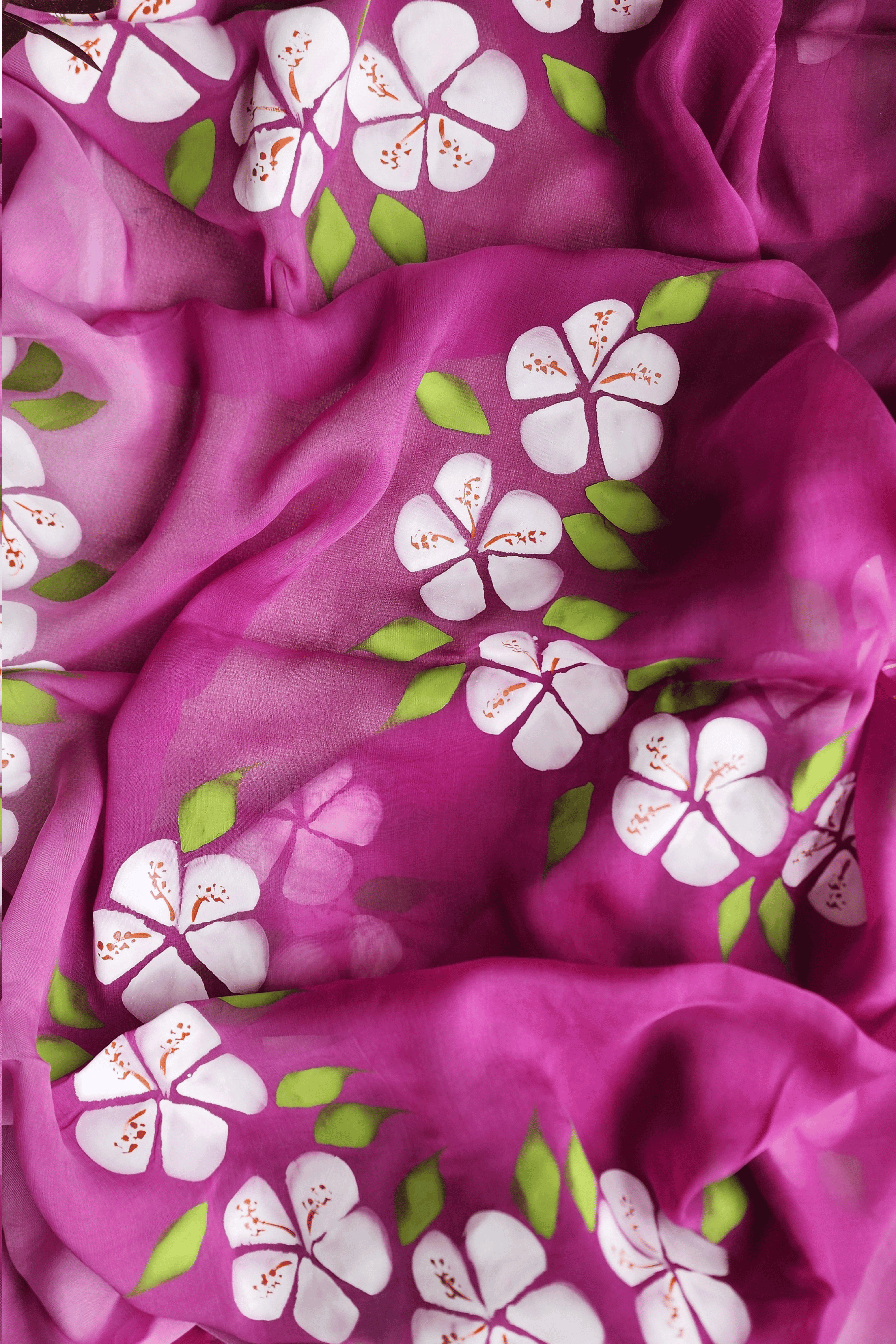 B A I G N E E - C H A M P A || Organza saree