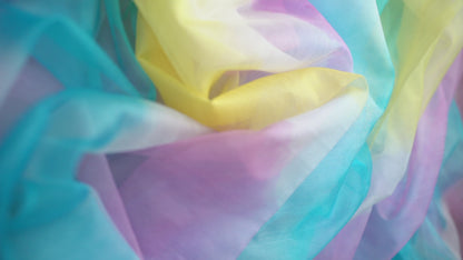 S A T Y A B H A M A || Organza Rainbow Saree