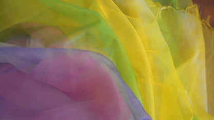 P A R A M P A R A || Multicolour Organza Saree