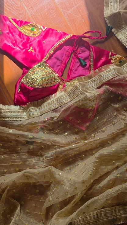 Tisse Saree with Sequence Work +  Heavy work Aangi