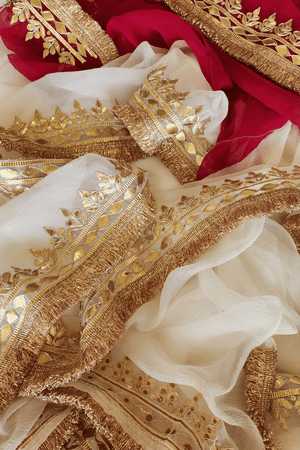 H A N S I N I   || Chiffon Saree