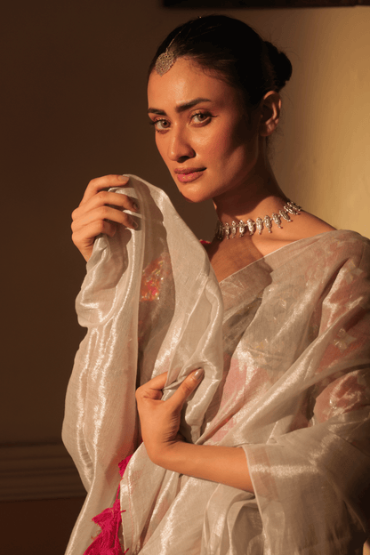 Silver Tissue Saree with Aangi Blouse Combo || Birangee