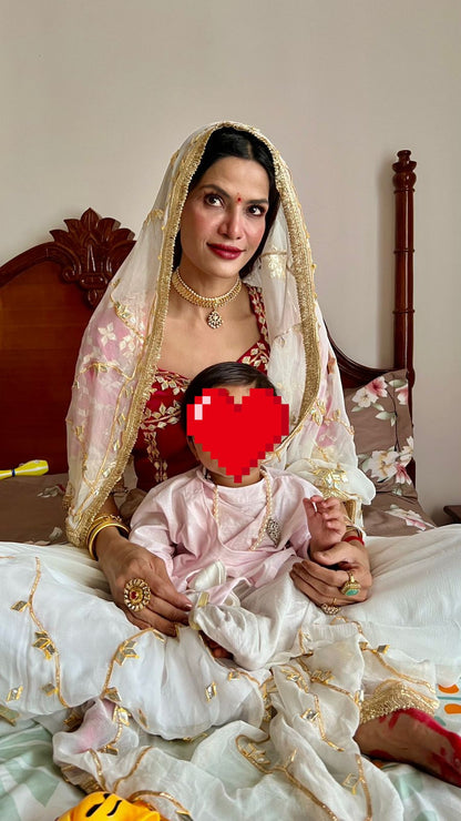 Pure Diamond Chiffon Saree with Gota Patti & Aangi Blouse Combo || Husna