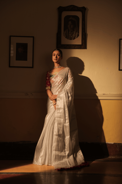 Silver Tissue Saree with Aangi Blouse Combo || Birangee