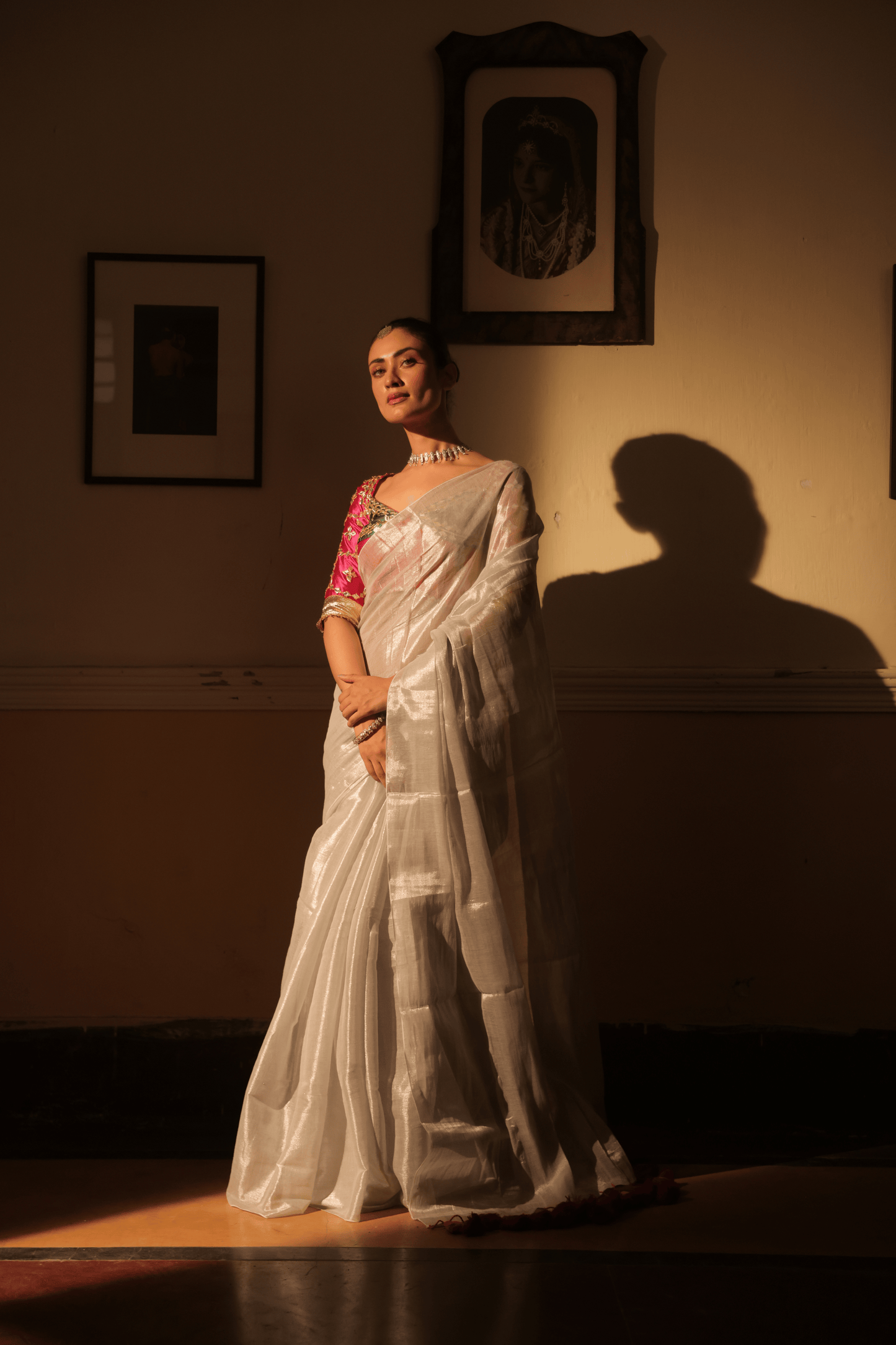 Silver Tissue Saree with Aangi Blouse Combo || Birangee